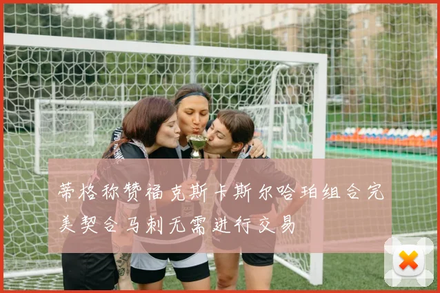 蒂格称赞福克斯卡斯尔哈珀组合完美契合马刺无需进行交易
