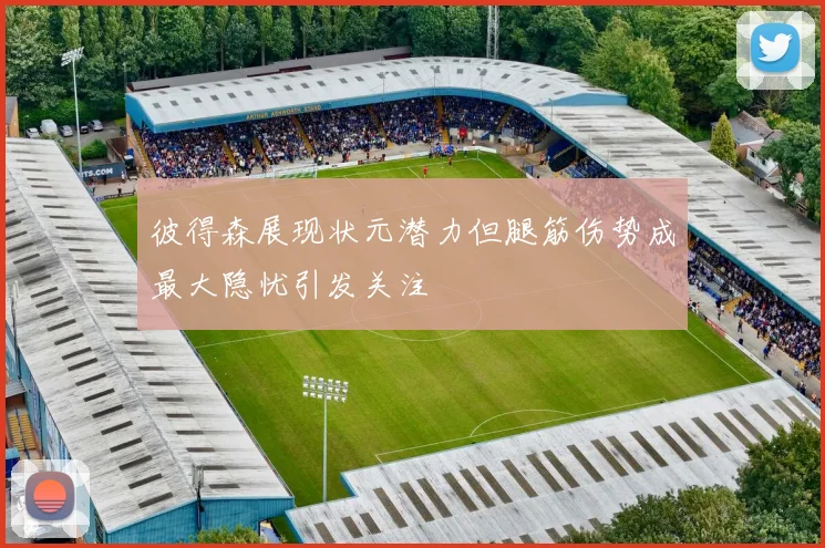 彼得森展现状元潜力但腿筋伤势成最大隐忧引发关注