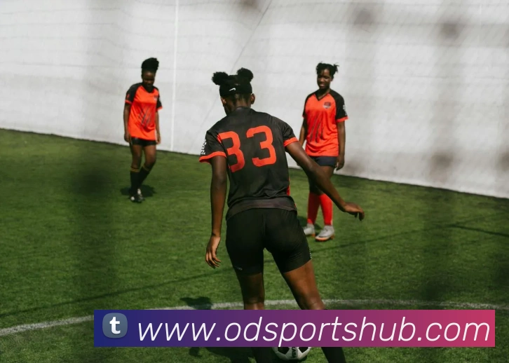 OD体育平台生态图