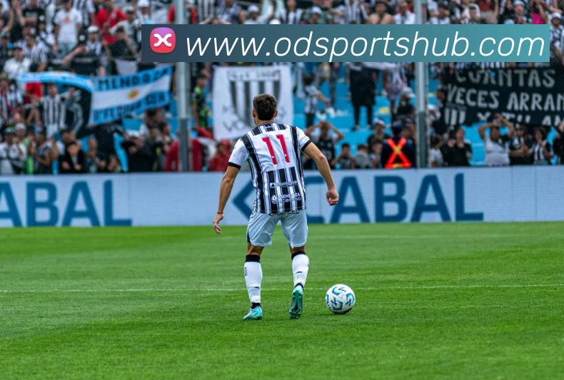 OD体育APP 封面图