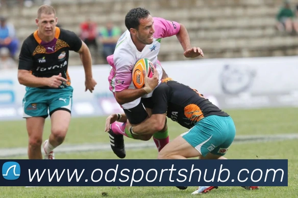 数据防护可视化